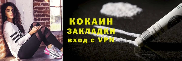 дживик Алзамай