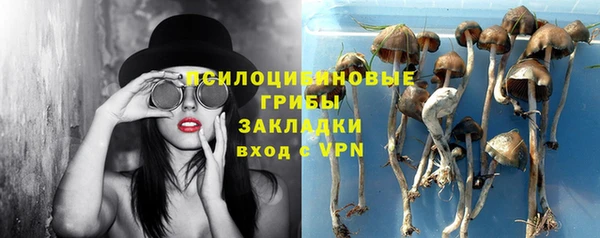 спайс Абдулино