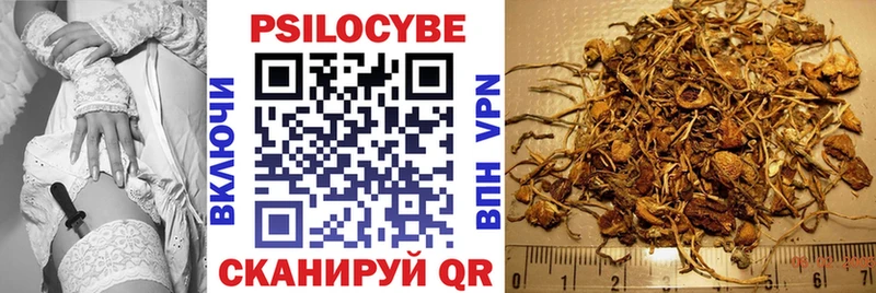 кракен вход  Отрадная  Галлюциногенные грибы Magic Shrooms 